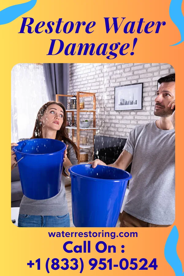 water restoration Apex Restoration Solutions & Associates Dorchester