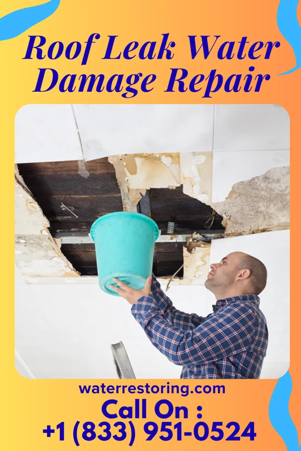 Roof Leak Water Damage Repair in Dorchester, IL