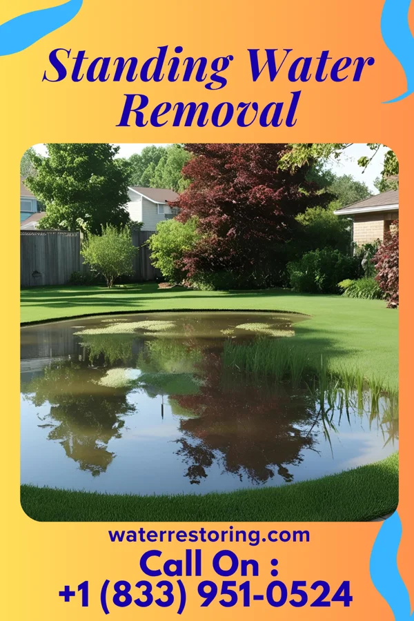 Standing Water Removal in Dorchester, IL